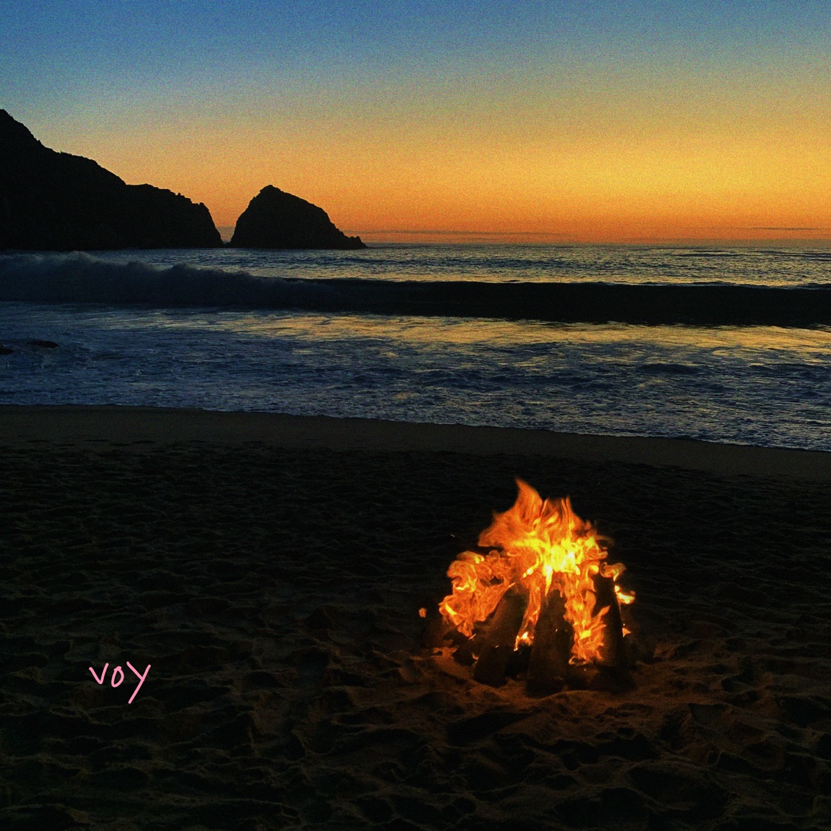Voy - Single by Jared album cover