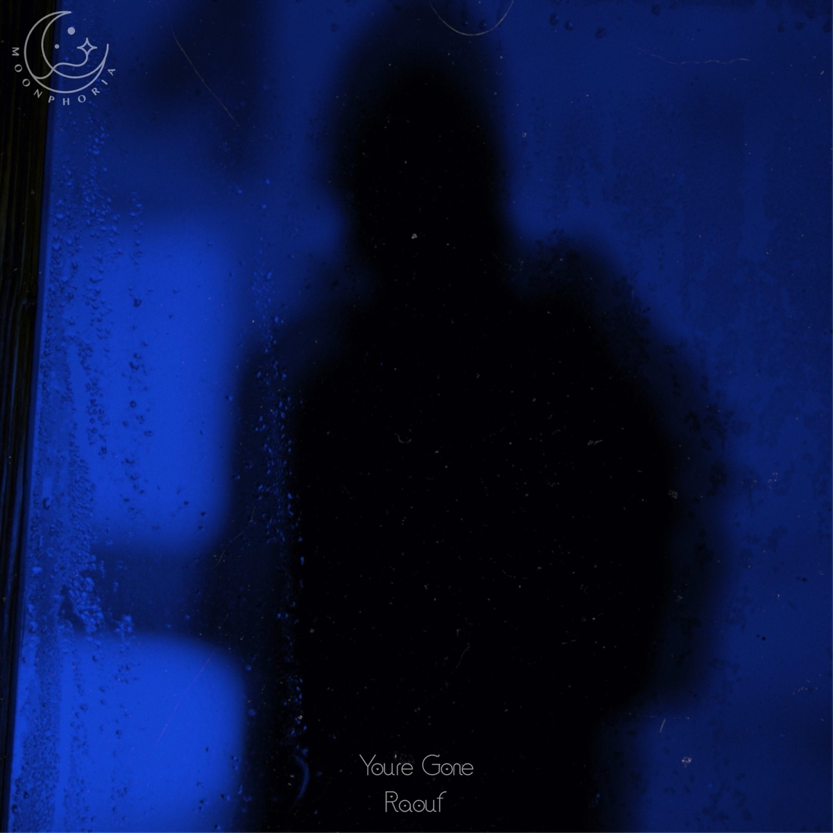 You're Gone - Single by Raouf & vibe album cover