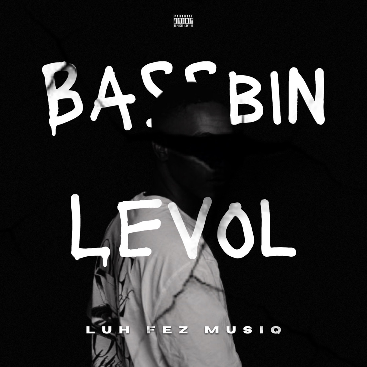 Bassbin Levol - Single by Luh Fez MusiQ album cover