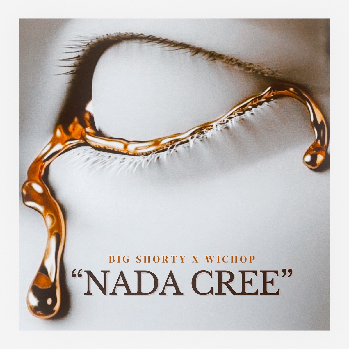 Nada Cree - Single by Big Shorty & WICHO P album cover