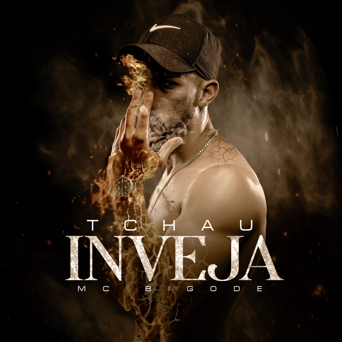 Tchau Inveja - Single by Mc Bigode & DJ FERNANDES album cover