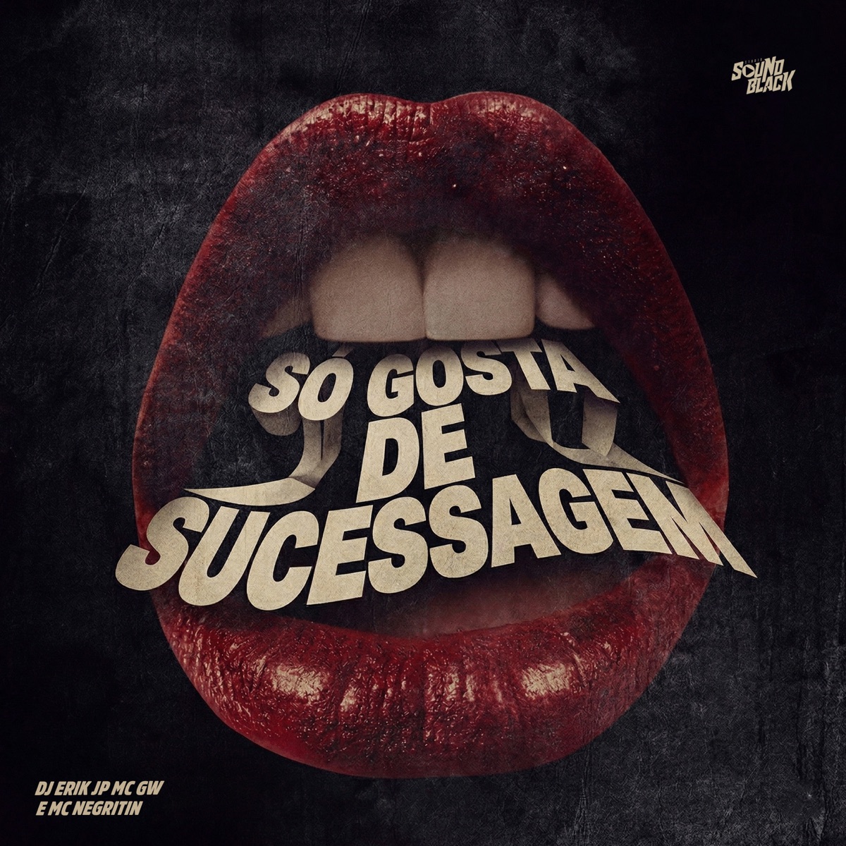 SÓ GOSTA DE SUCESSAGEM - Single by DJ Erik JP, Mc Gw & MC Negritin album cover