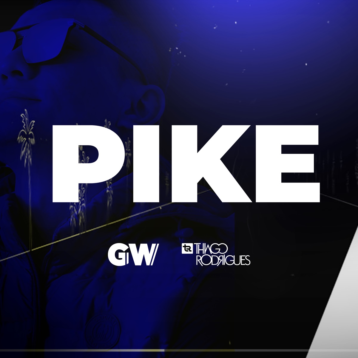 Pike - Single by Dj Thiago Rodrigues & MC GW album cover