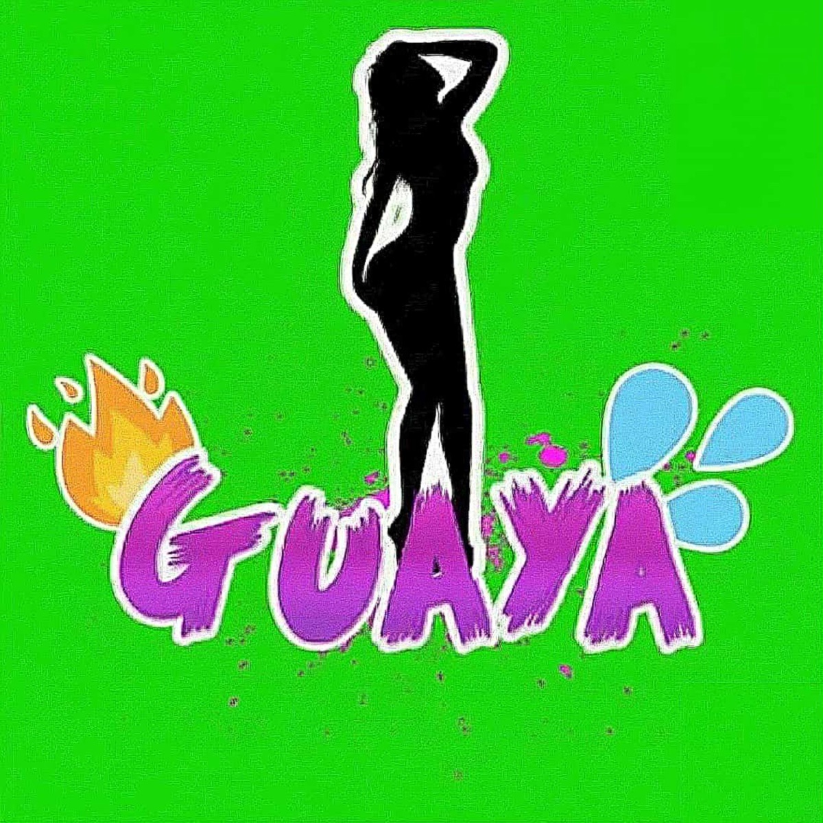 Guaya - Single by Mike Rayers & Dj Prins Chicago album cover