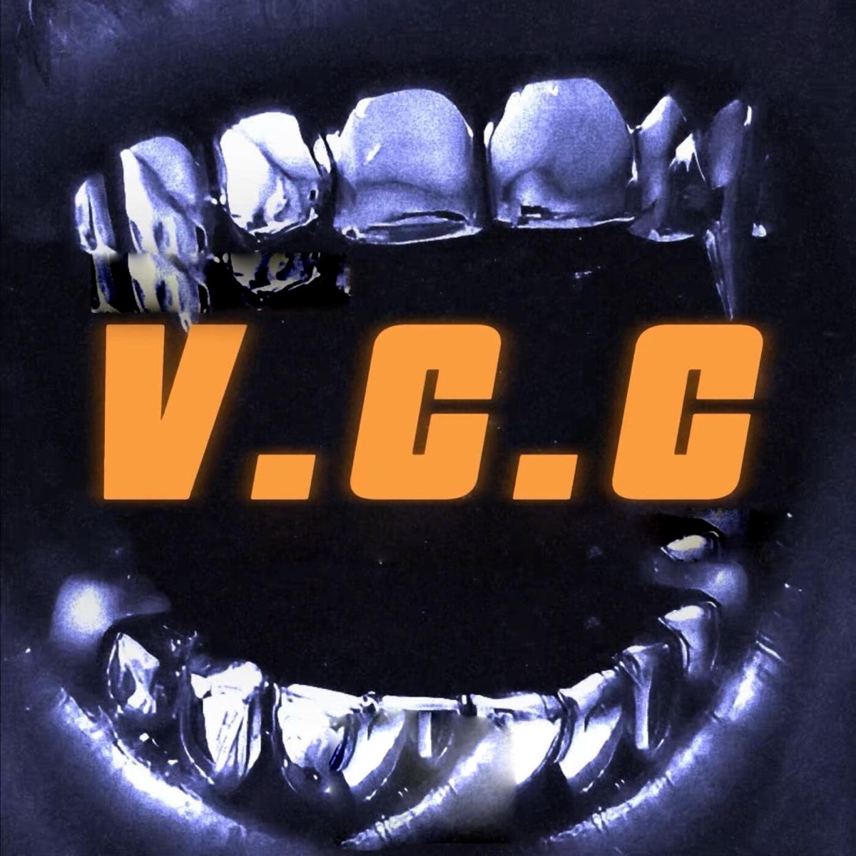 V.C.C - Single by Young Darwin & summerdayy album cover