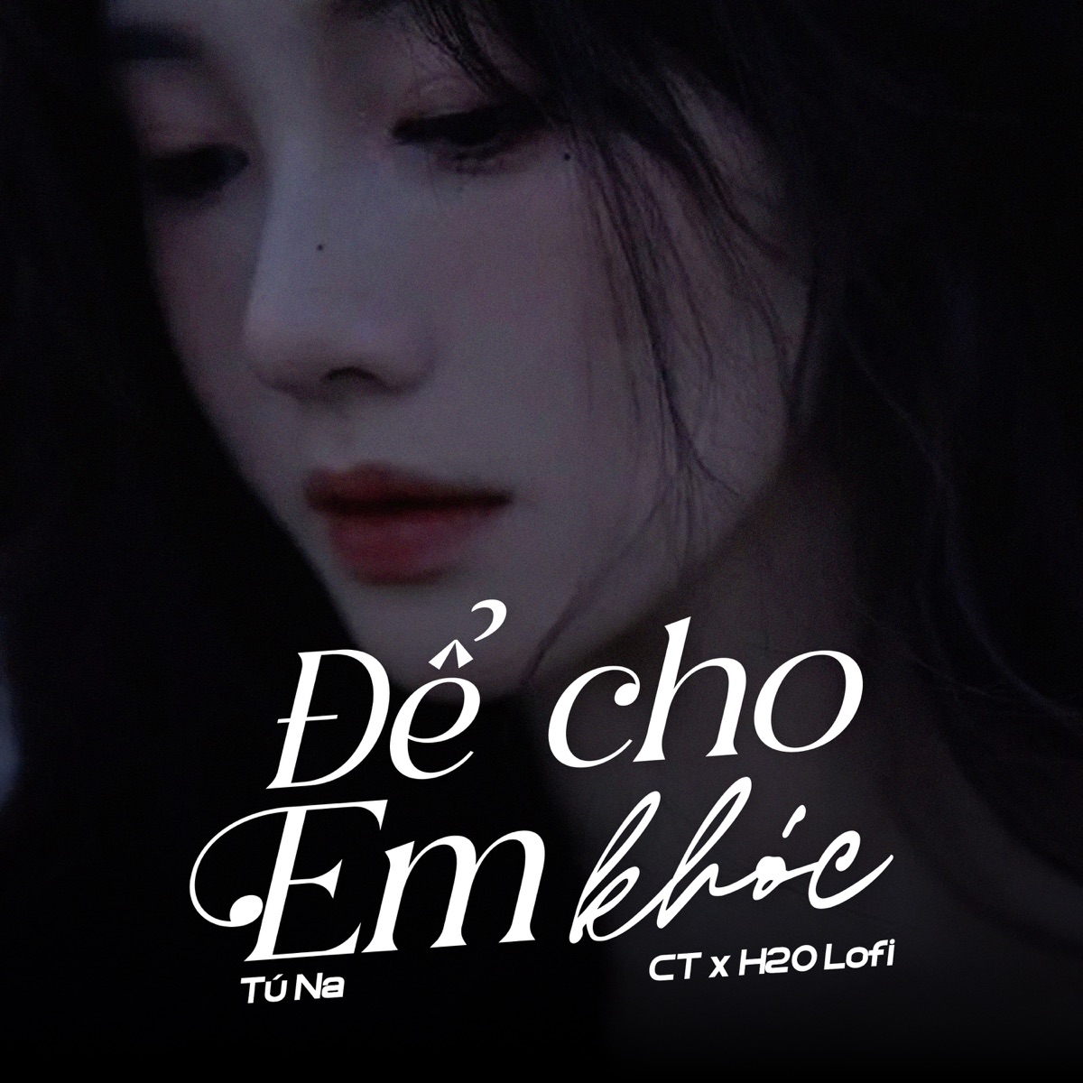 Để Cho Em Khóc (Lofi) [feat. CT & H2O Lofi] - Single by Tú Na album cover