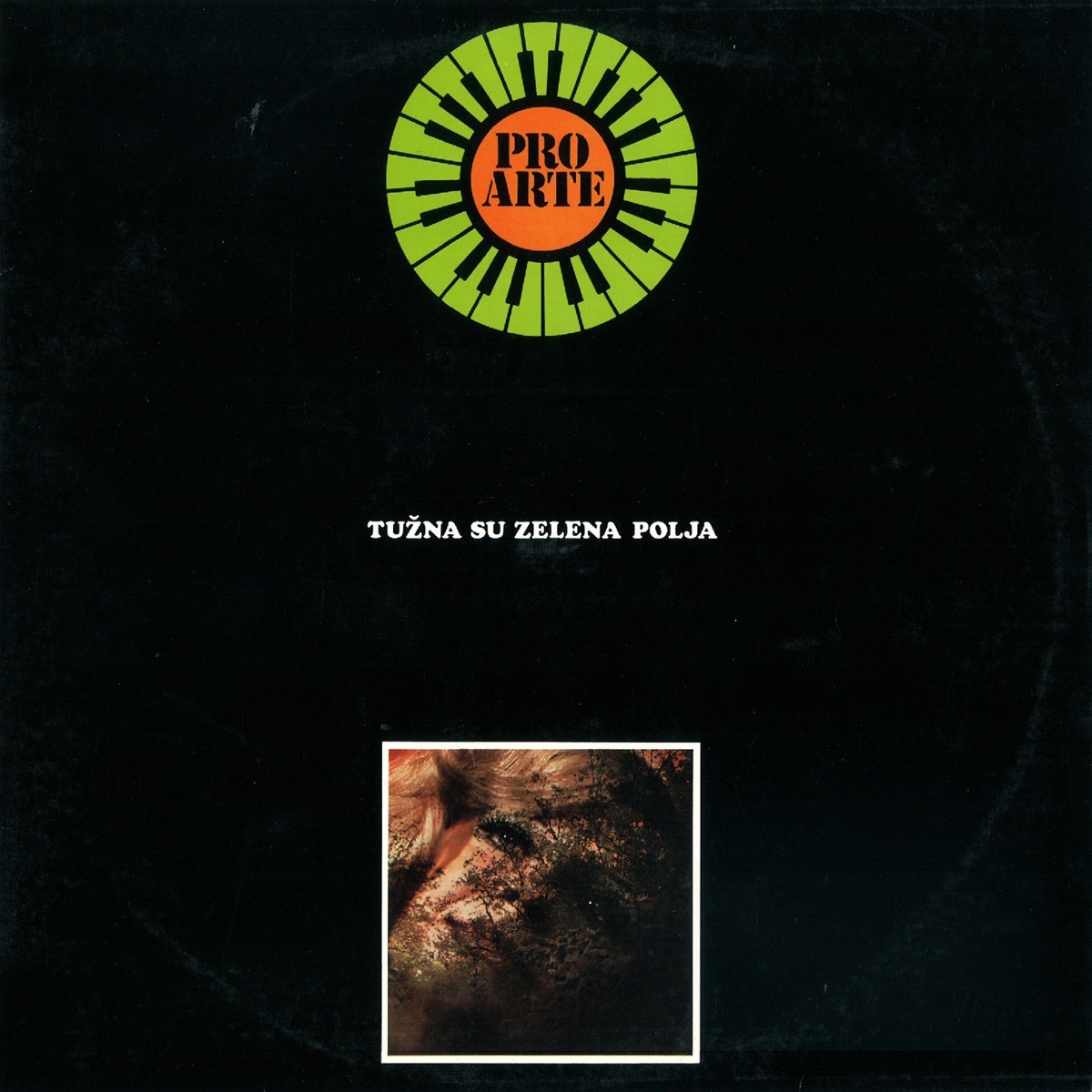 Tužna Su Zelena Polja by Pro Arte album cover