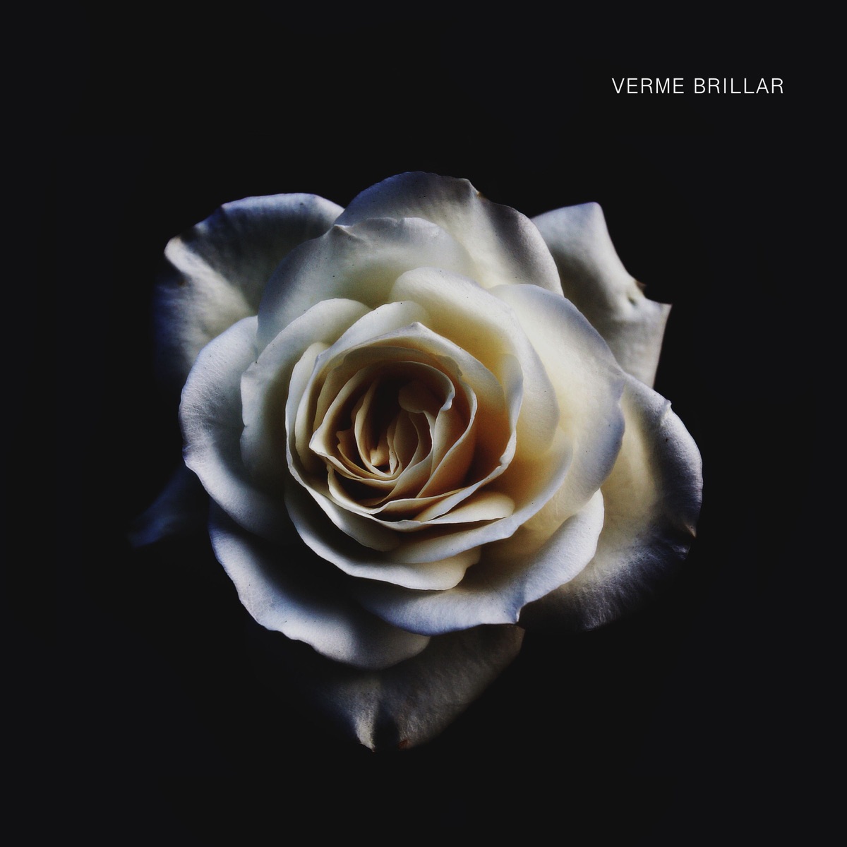 VERME BRILLAR - Single by Zan album cover