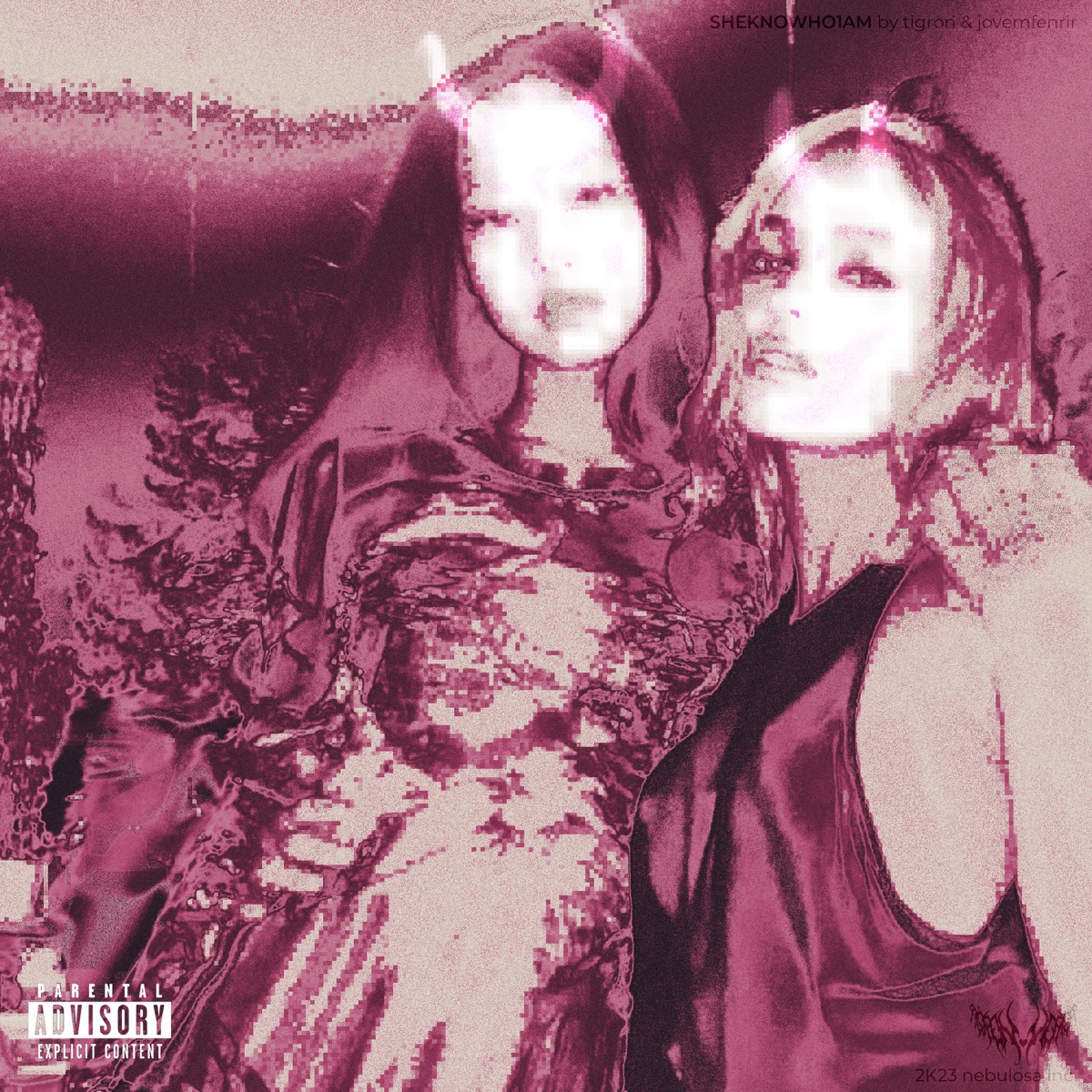 SHEKNOWHO1AM (feat. jovem fenrir & Nebulosa INC.) - Single by Tigron album cover