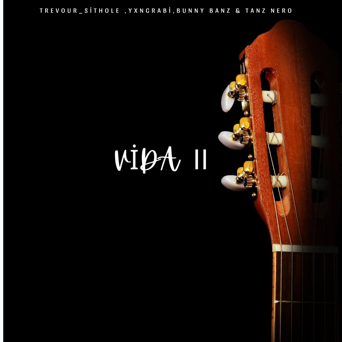 Vida Ⅱ (feat. Yxngrabi, Bunny Banz & Tanz Nero) - Single by Trevour_Sithole album cover