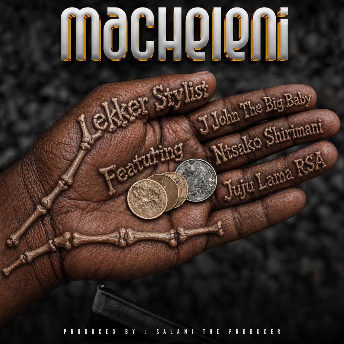 Macheleni (feat. J JOHN THE BIG BABY, Ntsako Shirimani, Jujulamrsa & Salani The Producer) - Single by Lekker Stylist album cover