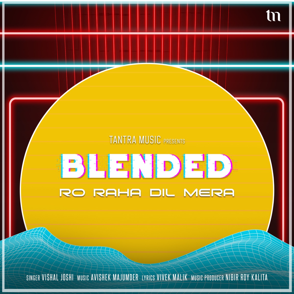 Ro Raha Dil Mera (Blended) - Single by Vishal Joshi, Avishek Majumder & Nibir Roy Kalita album cover