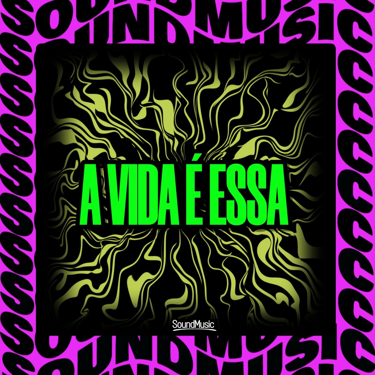 A VIDA É ESSA - Single by MC Negritin, Dj Mael Silva & SoundMusic Original album cover