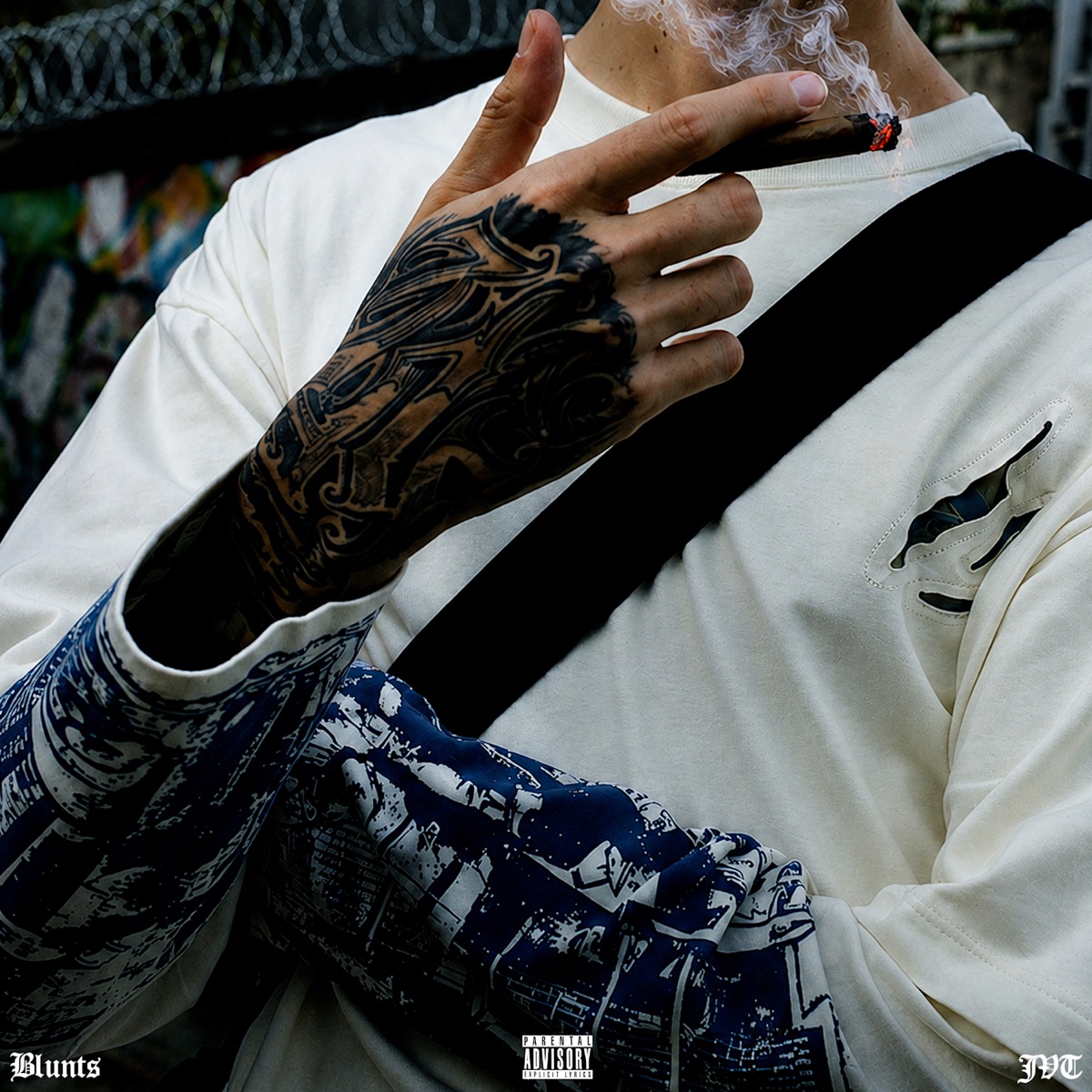 BLUNTS - Single by JVT album cover