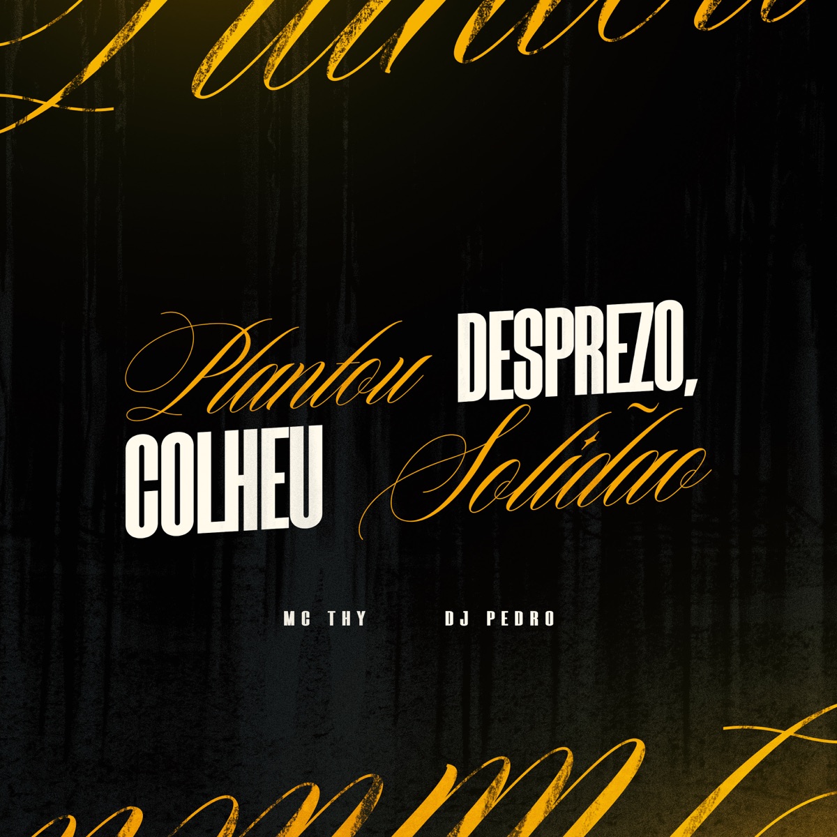 Plantou Desprezo, Colheu Solidão - Single by DJ Pedro & Mc Thy album cover