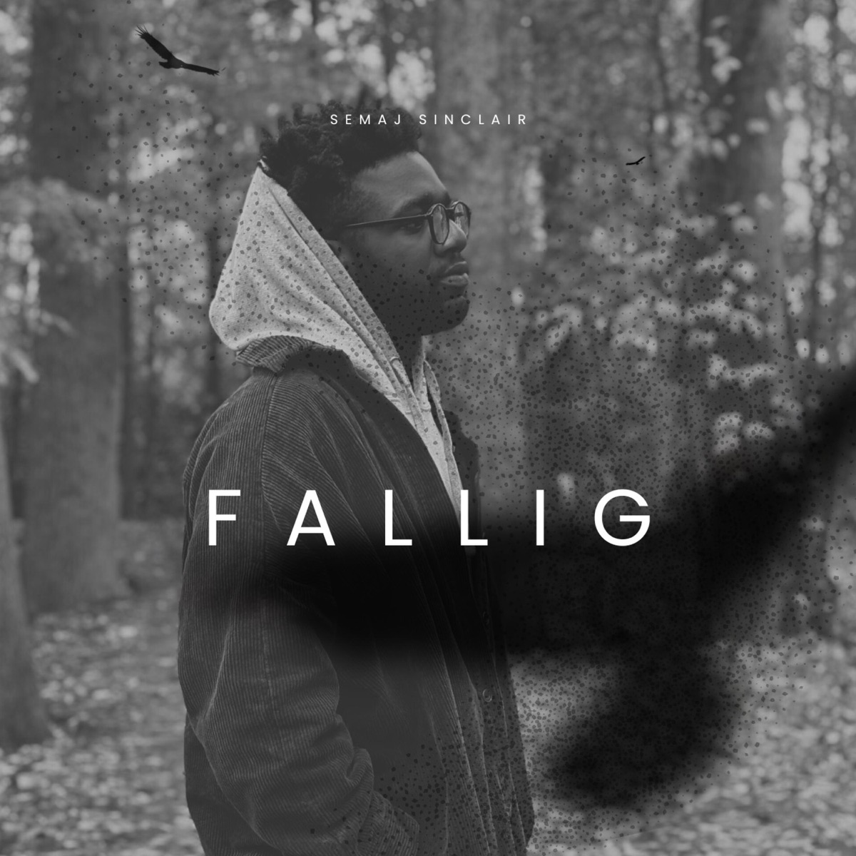 Falling - Single by Semaj Sinclair album cover
