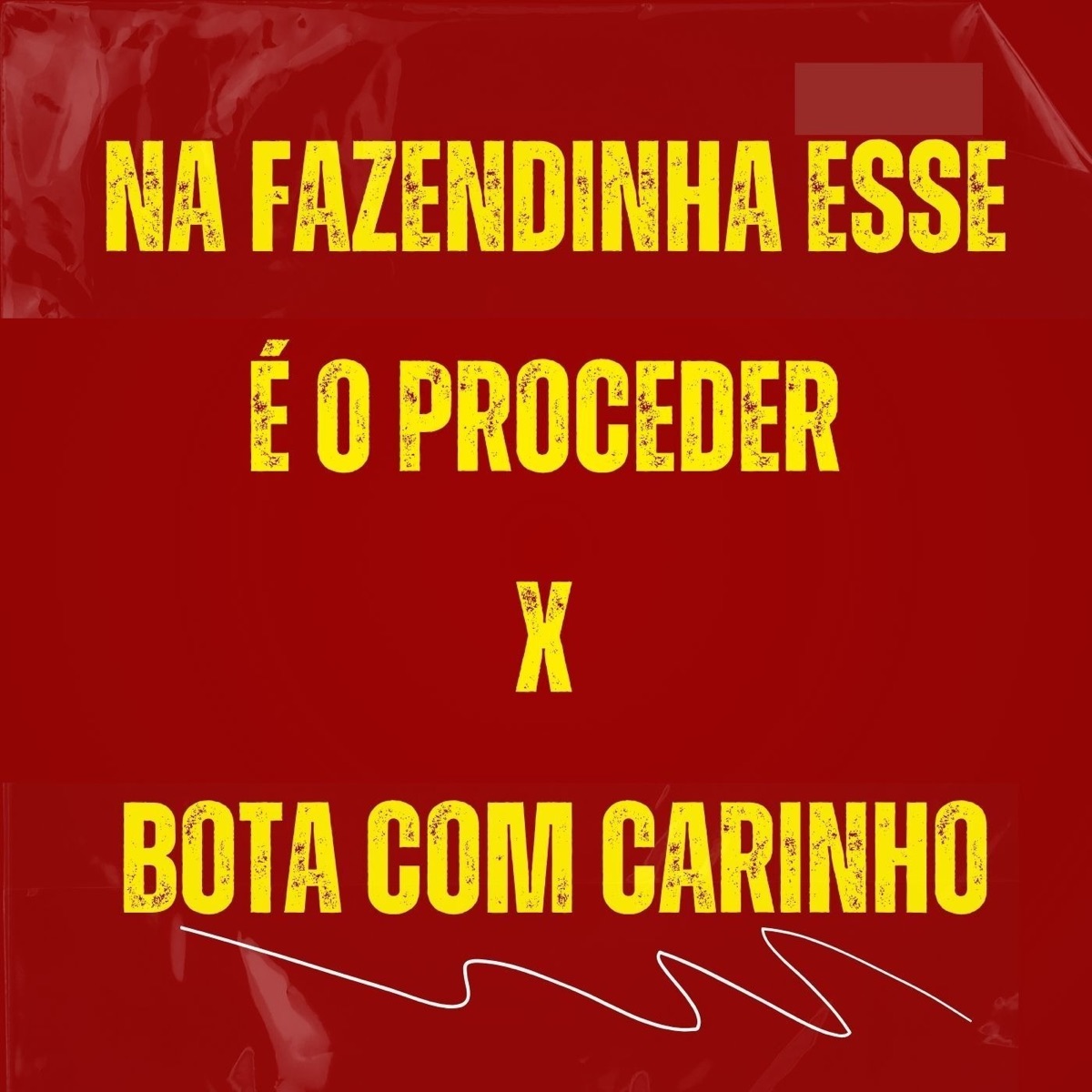NA FAZENDINHA ESSE É O PROCEDER X BOTA COM CARINHO - Single by mc cariokinha, Mc Tarapi, Dj Pixadão & DJ PH CALVIN album cover