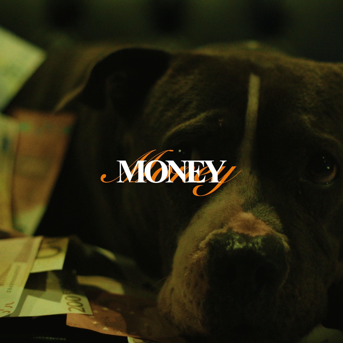 Money (feat. Will Yam) - Single by Bino album cover