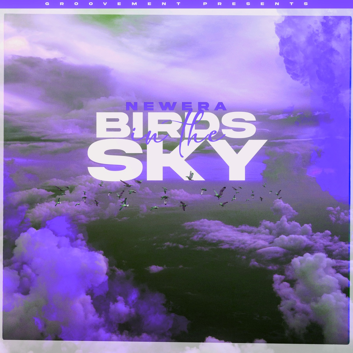 Birds in the sky (Tays & Charva Boys Remix) - Single by NewEra album cover