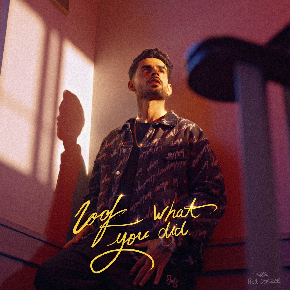 LOOK WHAT YOU DID - Single by VE5 album cover