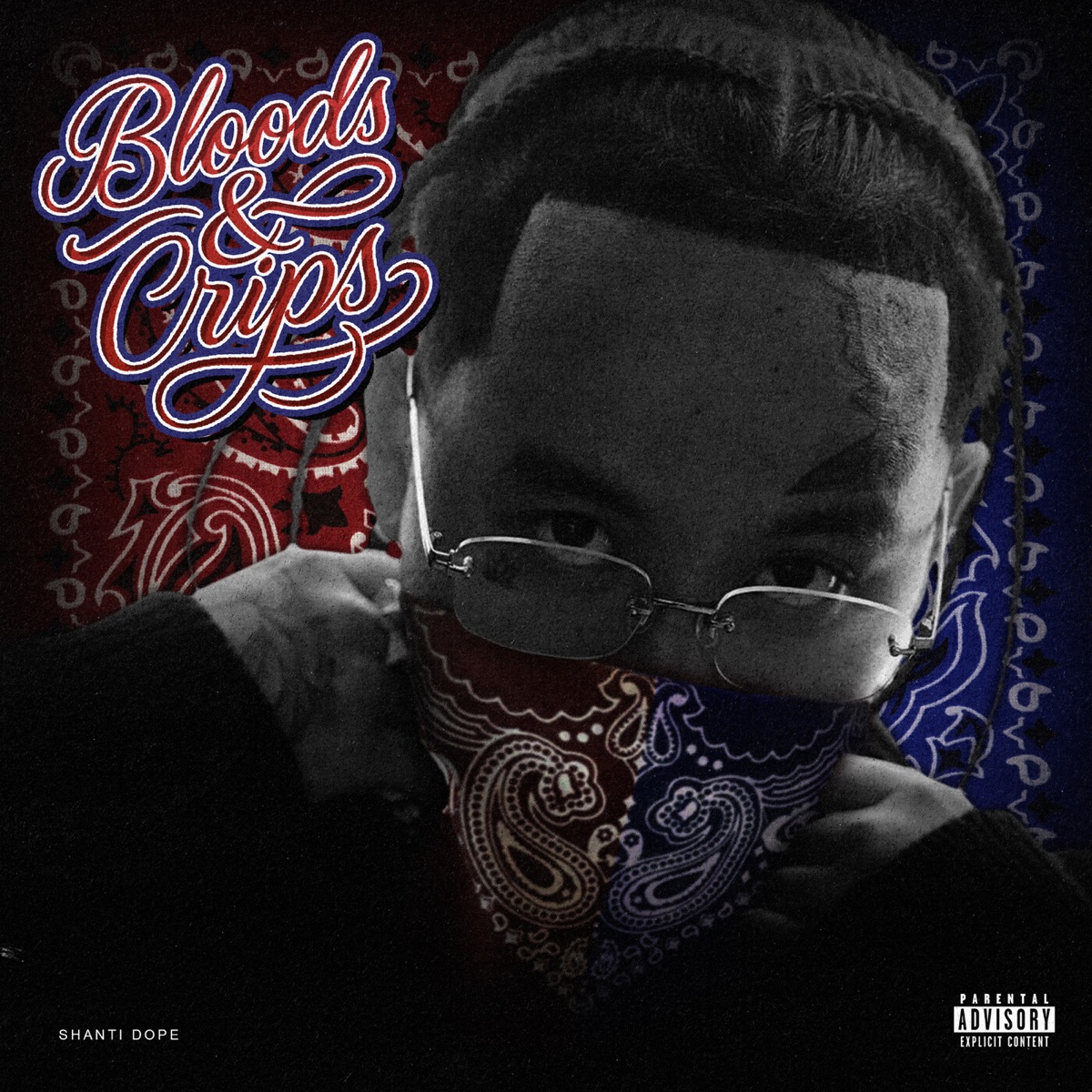 Bloods & Crips (feat. HELLMERRY, SCOOP DOGG, Jazz Chillin, Buddahbeads, Ejac & Gaspari) - Single by Shanti Dope album cover