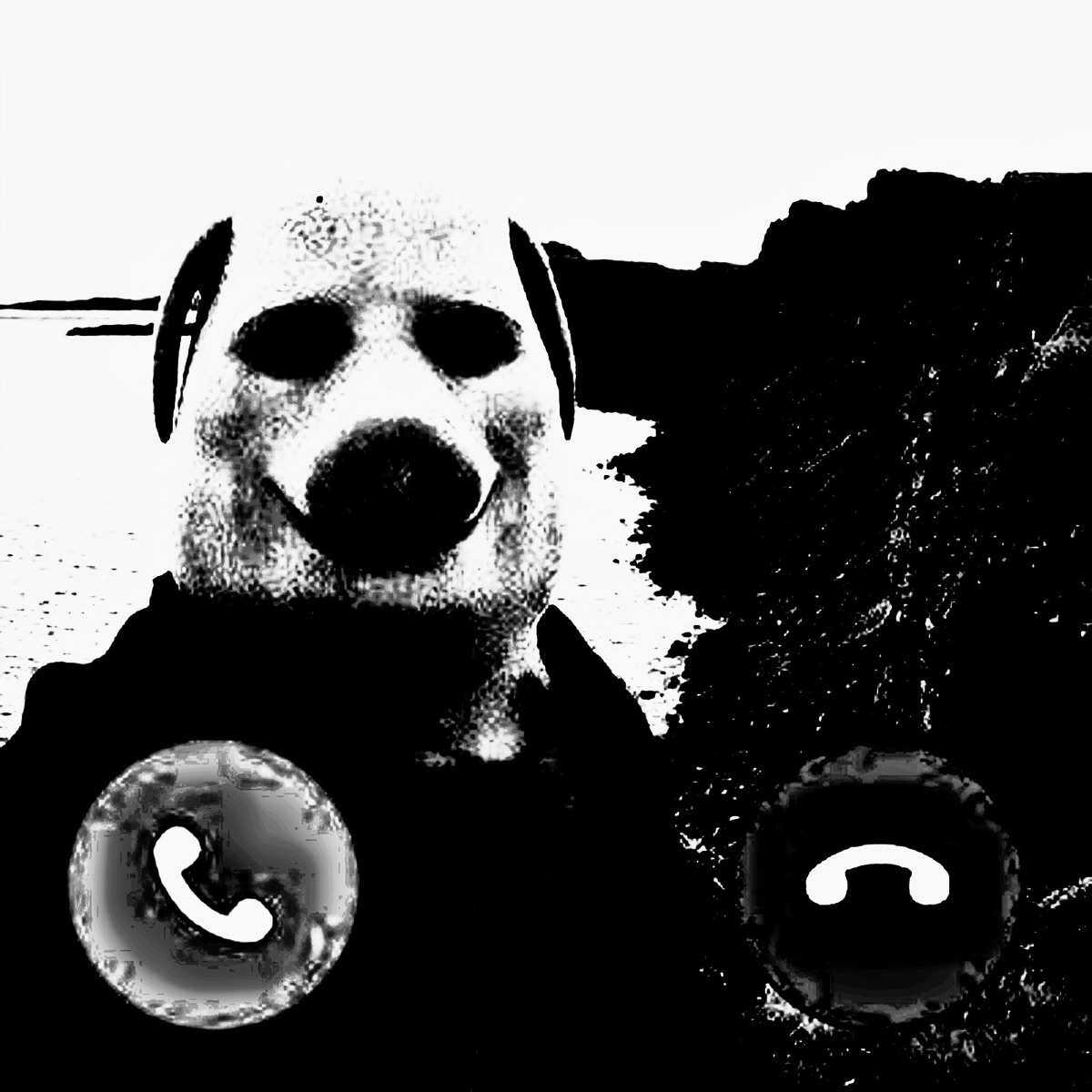 JHON PORK PHONK (ULTRA SLOWED) - Single by 3VILCORE album cover