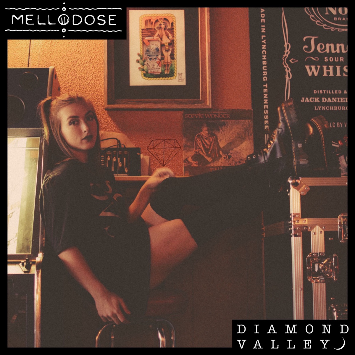 DIAMOND VALLEY by Mellodose album cover