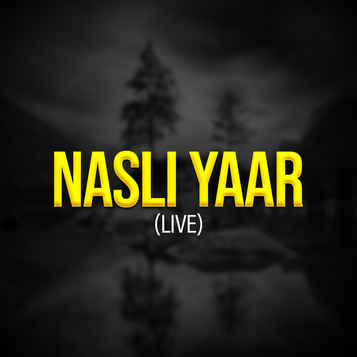 Nasli Yaar (Live) - Single by Sardar Rizwan Baloch album cover