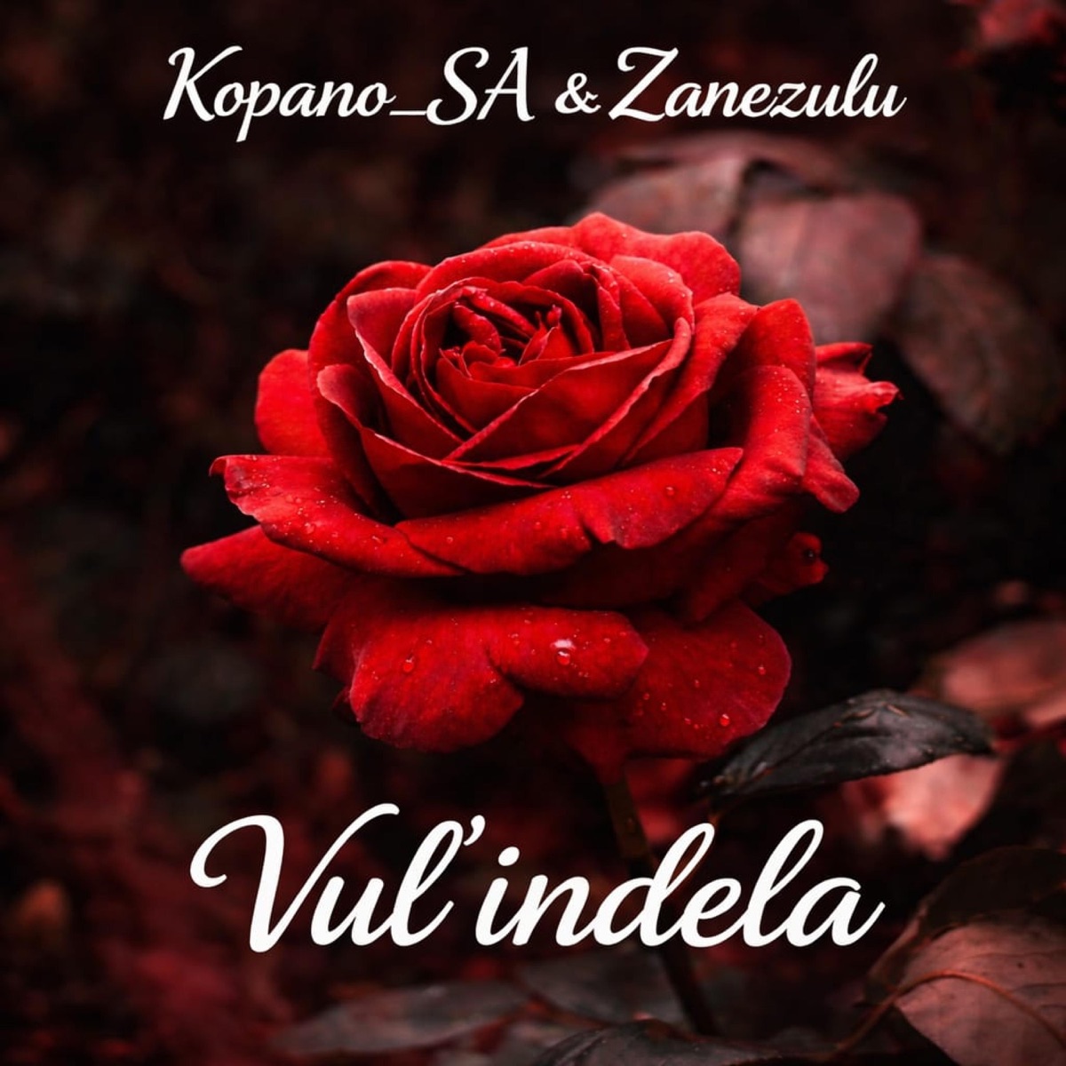 Vul' indlela - Single by Kopano_SA & Zanezulu album cover