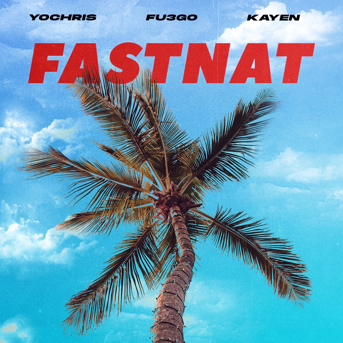 FASTNAT - Single by Yo-Chris, Kayen & FU3GO album cover