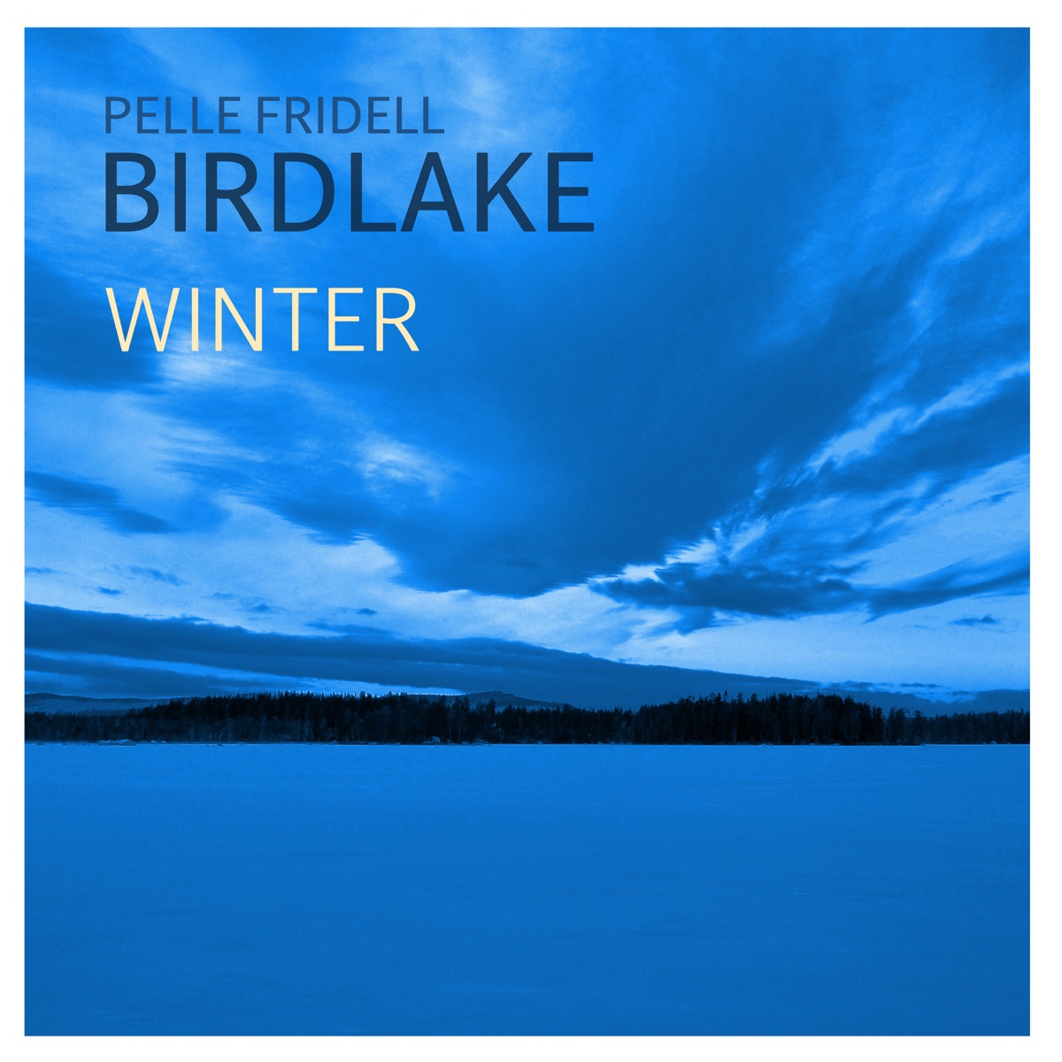 Winter (feat. Birdlake) - Single by Pelle Fridell album cover