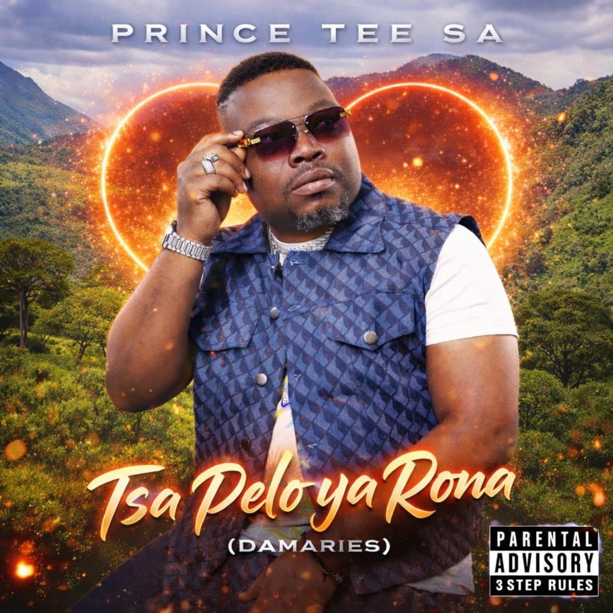 Tsa Pelo Ya Rona (DAMARIES) by Prince Tee album cover