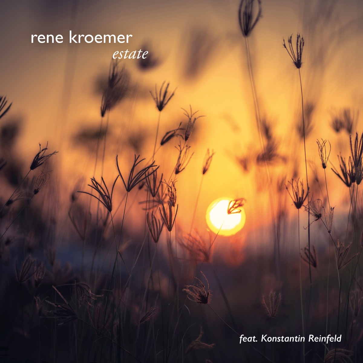 Estate (feat. Konstantin Reinfeld) - Single by Rene Kroemer album cover