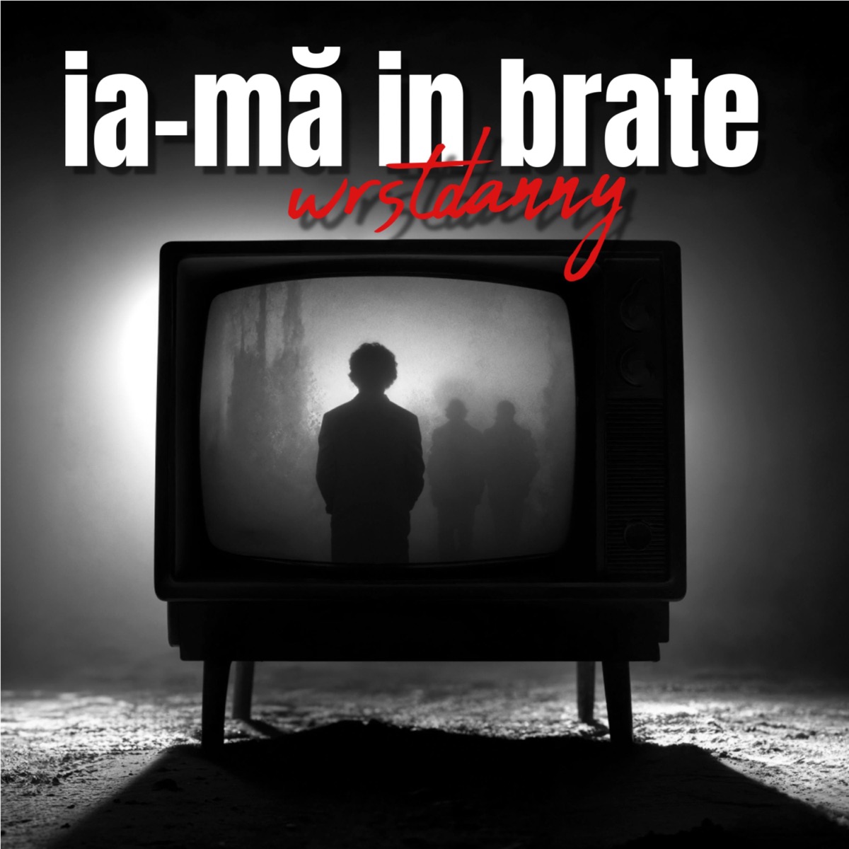 ia-mă în brațe - Single by dnzsb album cover