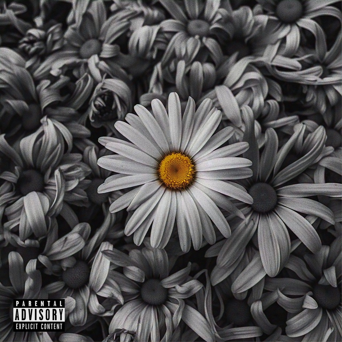 Aparição - Single by Alvezs album cover