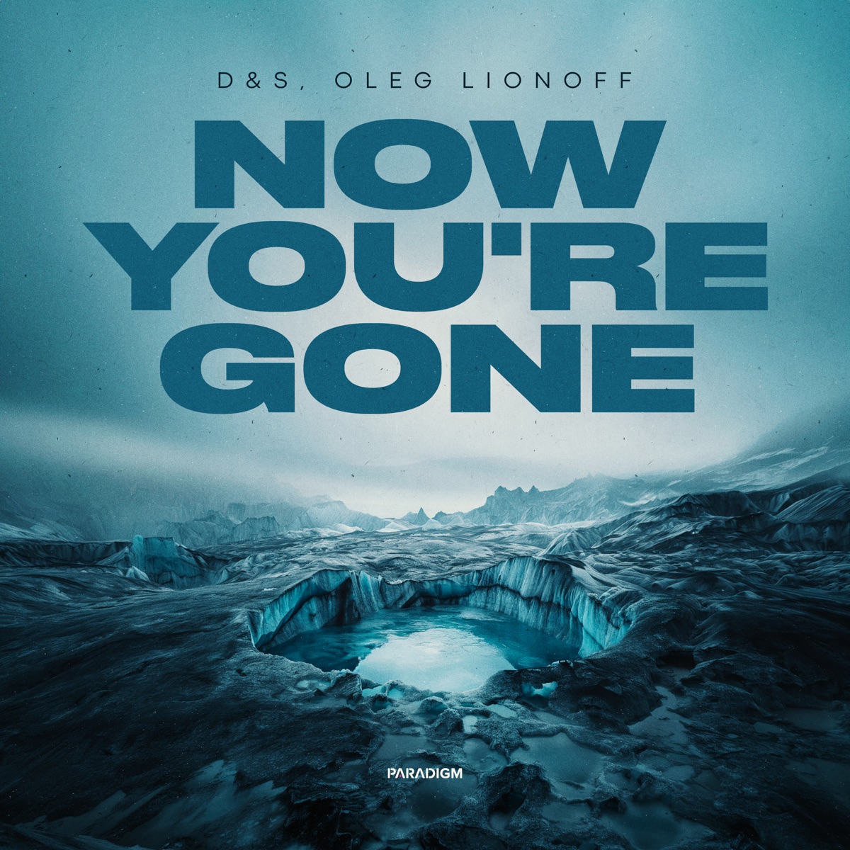 Now You're Gone - Single by D&S & Oleg Lionoff album cover