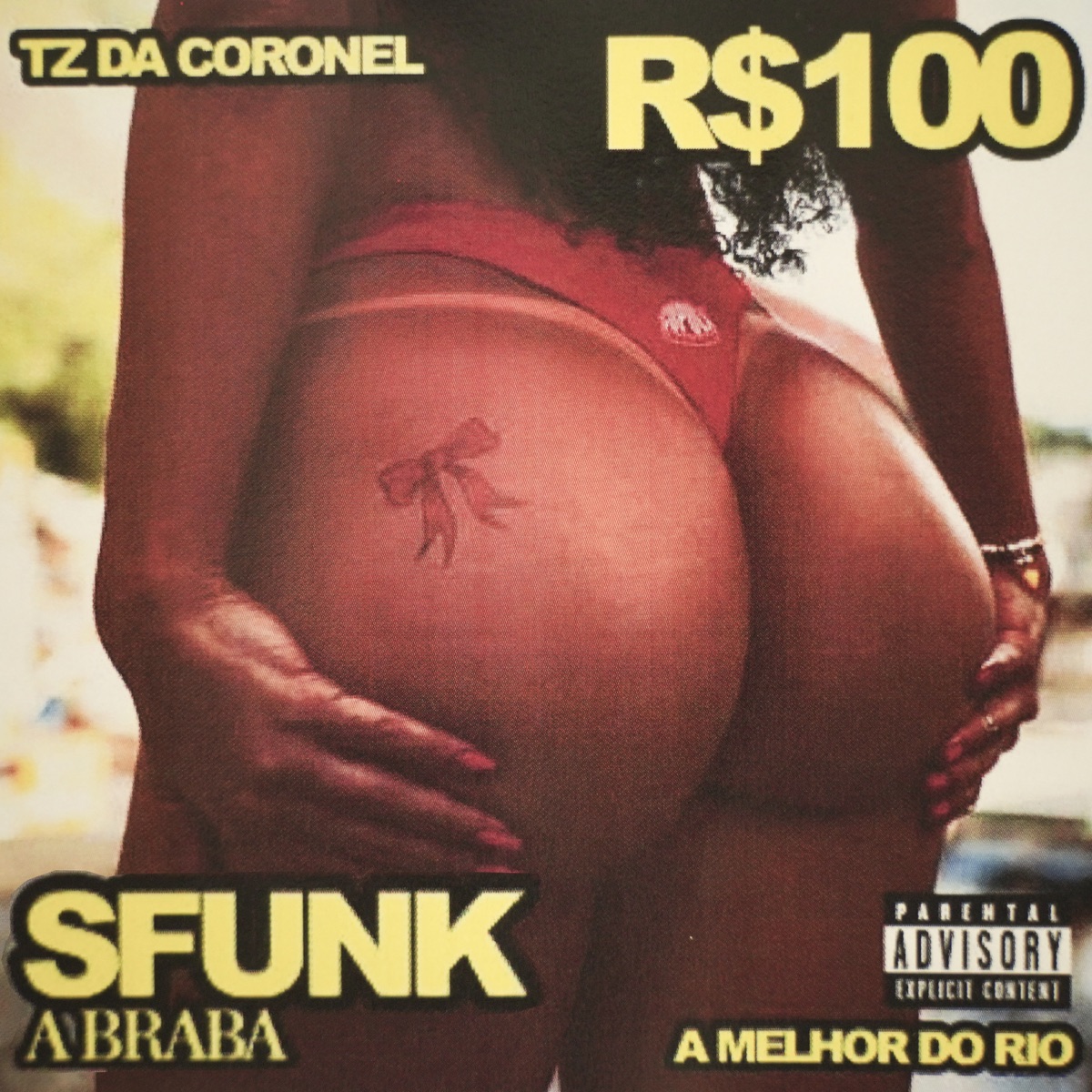 Ela Não Quer Saber de Nada - Single by Tz da Coronel & Dj Alle da coro album cover