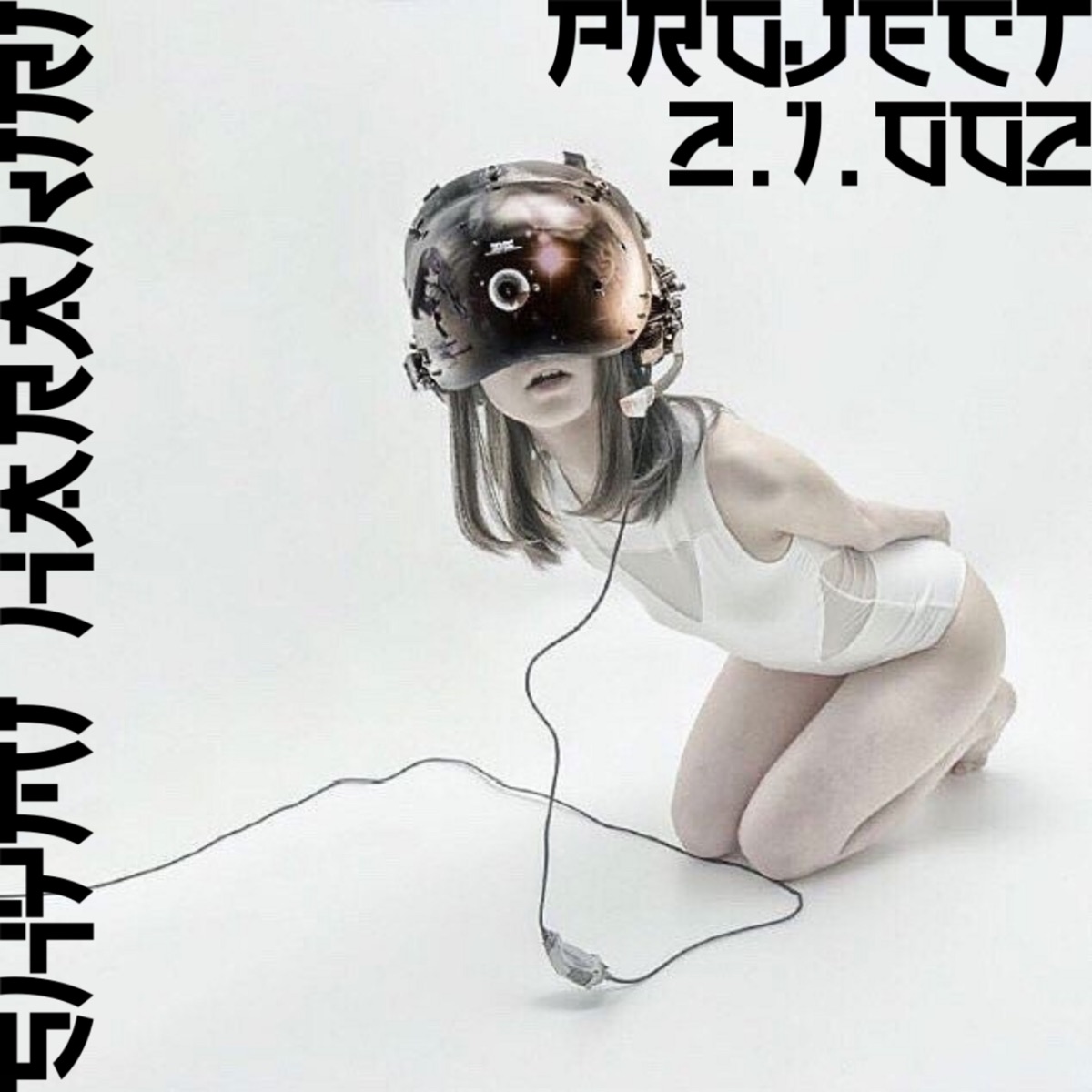 PROJECT 2.1.002 by shymi harakiri album cover