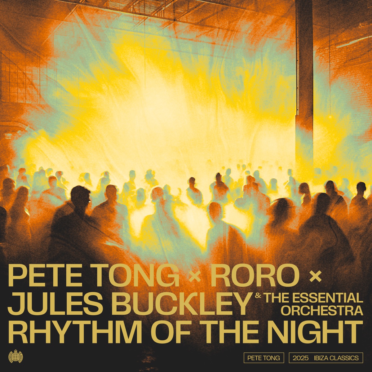 Rhythm Of The Night (feat. Jules Buckley & The Essential Orchestra) - Single by Pete Tong & RoRo album cover