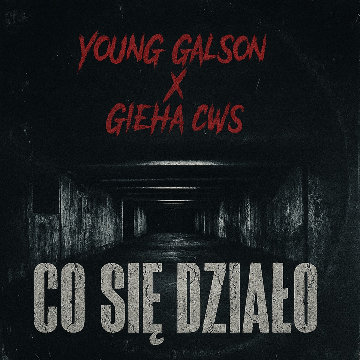 Co Się Działo - Single by Young Galson & Gieha album cover