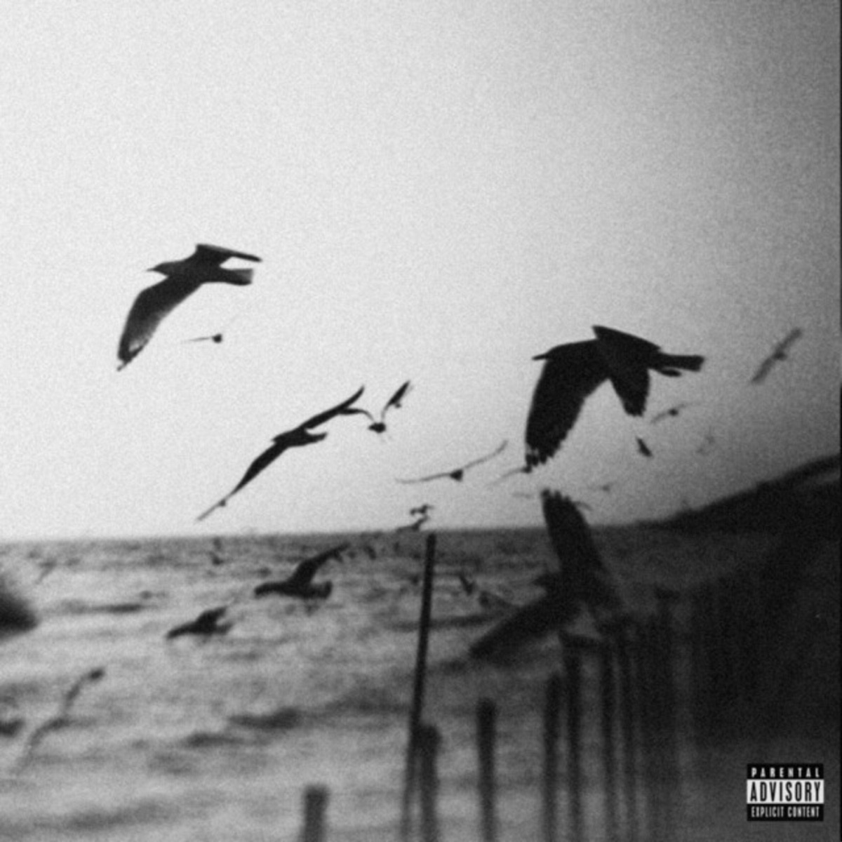 115 - Single by Rocco album cover