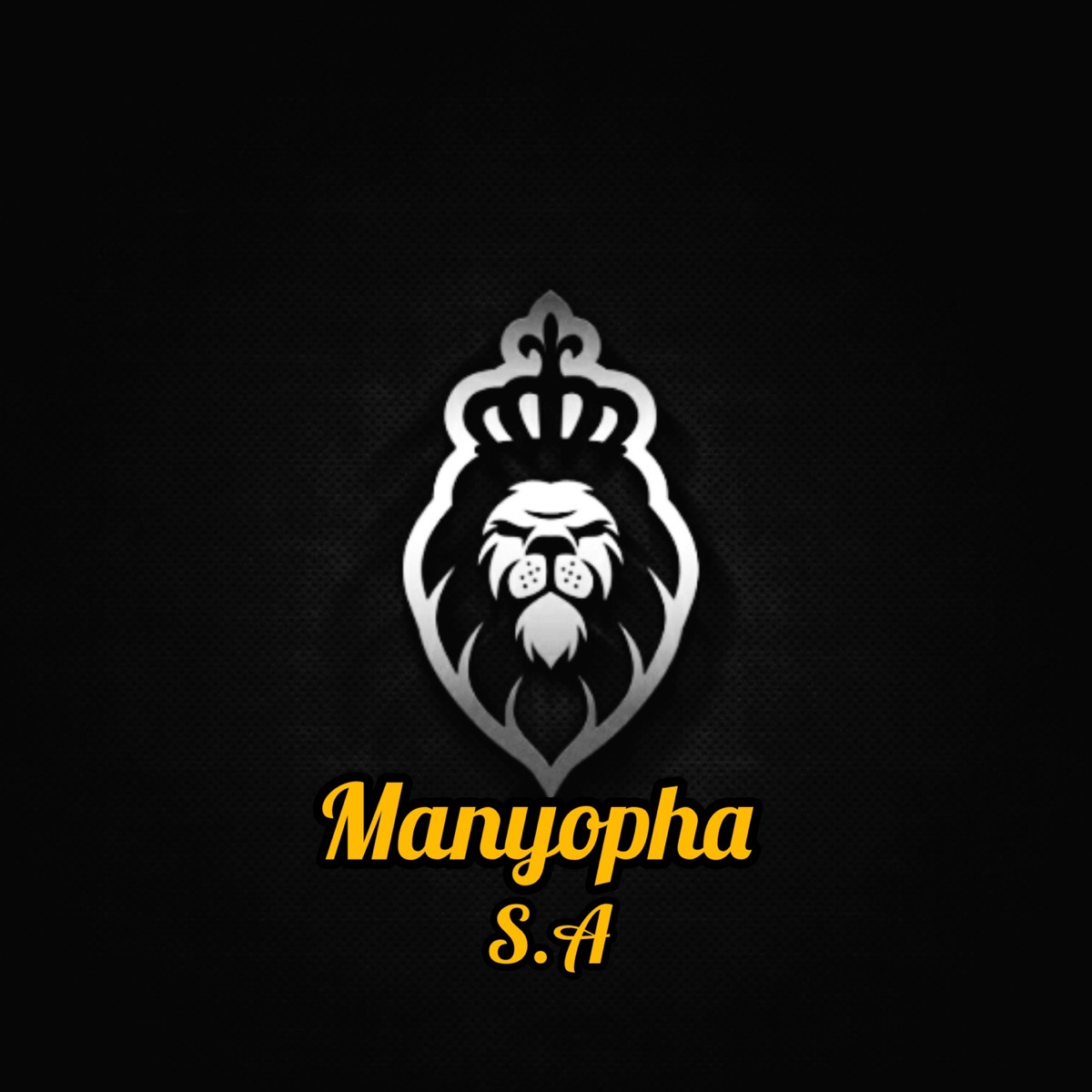 We live we die - Single by MANYOPHA SA album cover