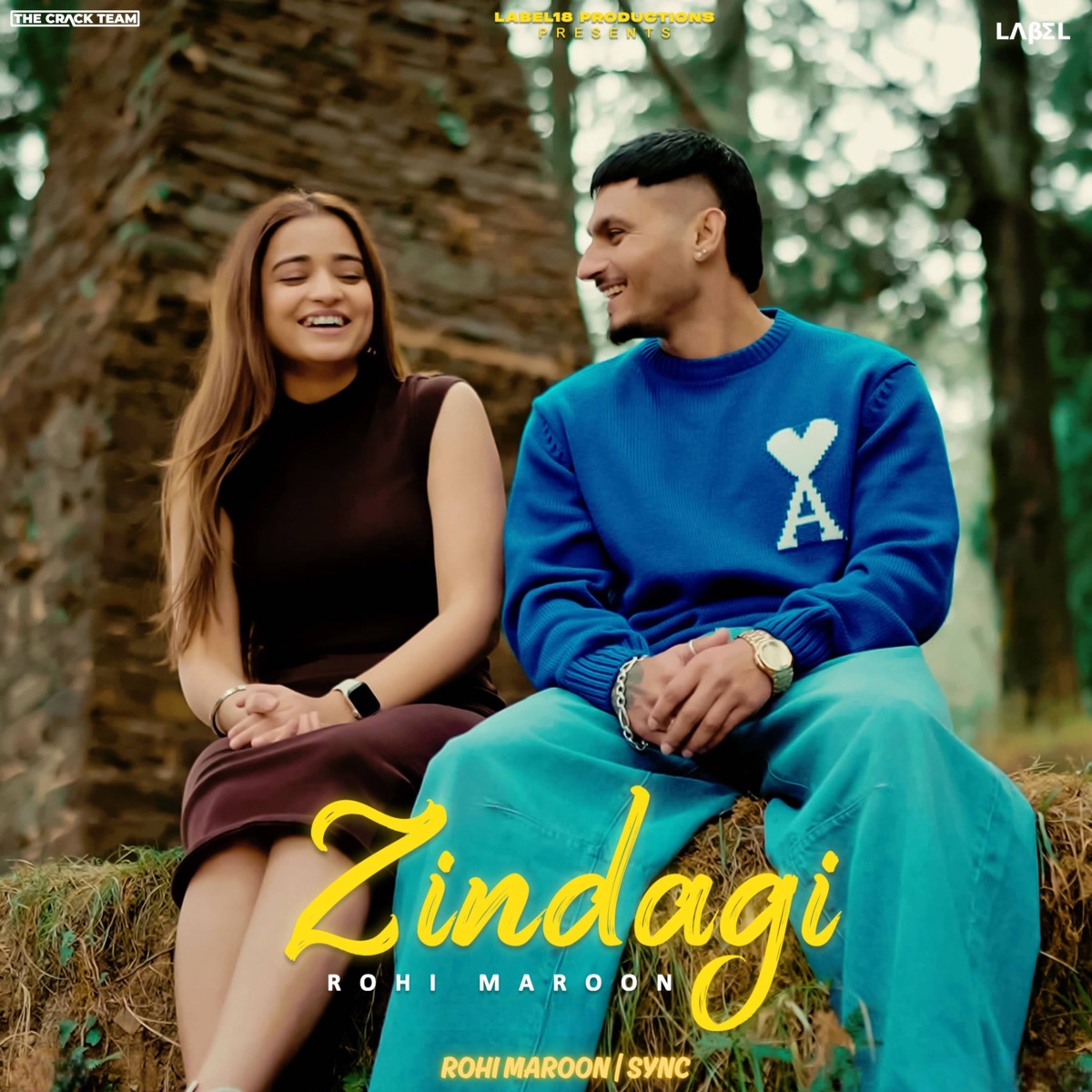 Zindagi - Single by Rohi Maroon & Sync album cover