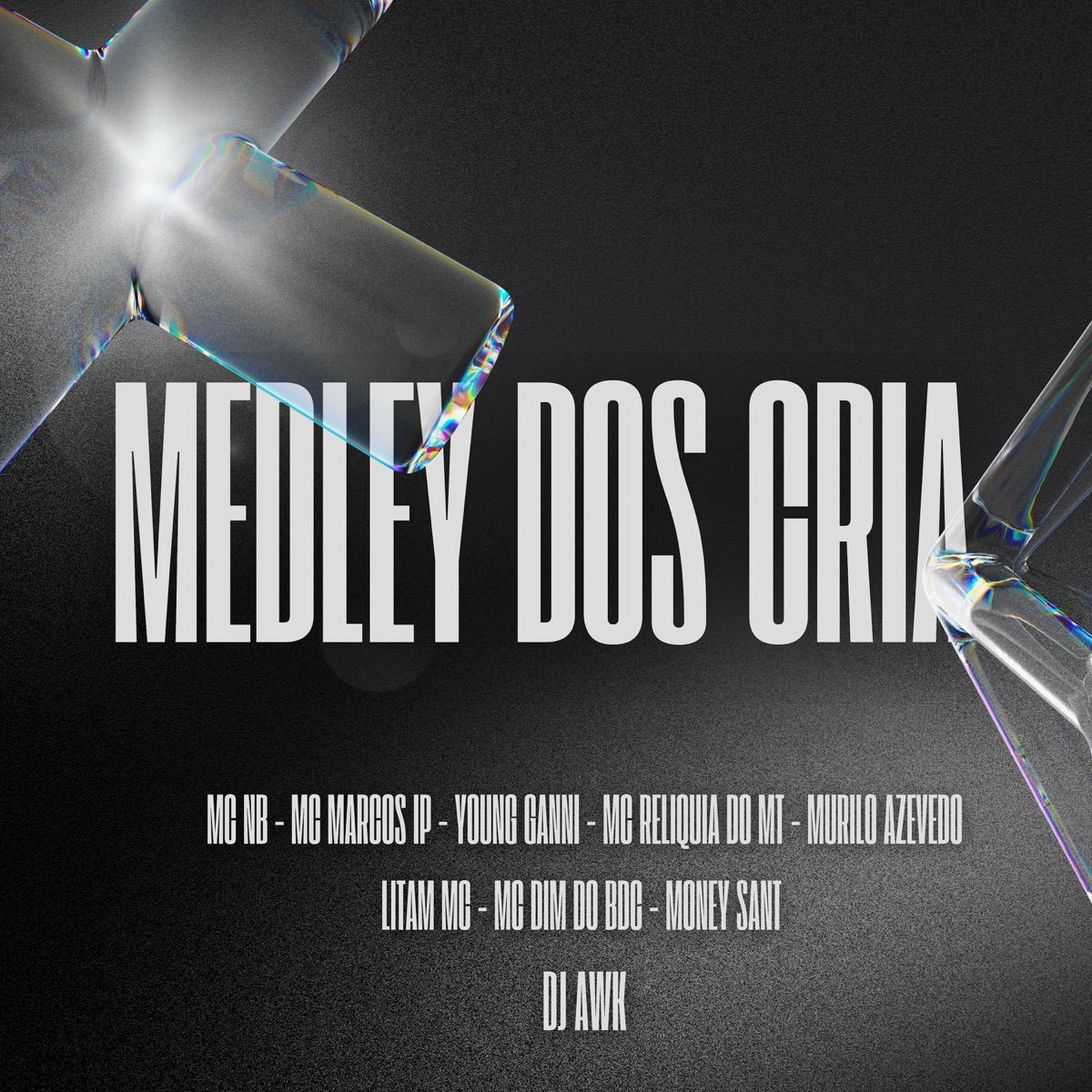 Medley dos Cria (feat. DJ Awk, Murilo Azevedo, MC Dim do BDC, Litam MC, MC Relíquia do MT & Money Sant) - Single by Mc NB, Mc Marcos IP & Young Ganni album cover