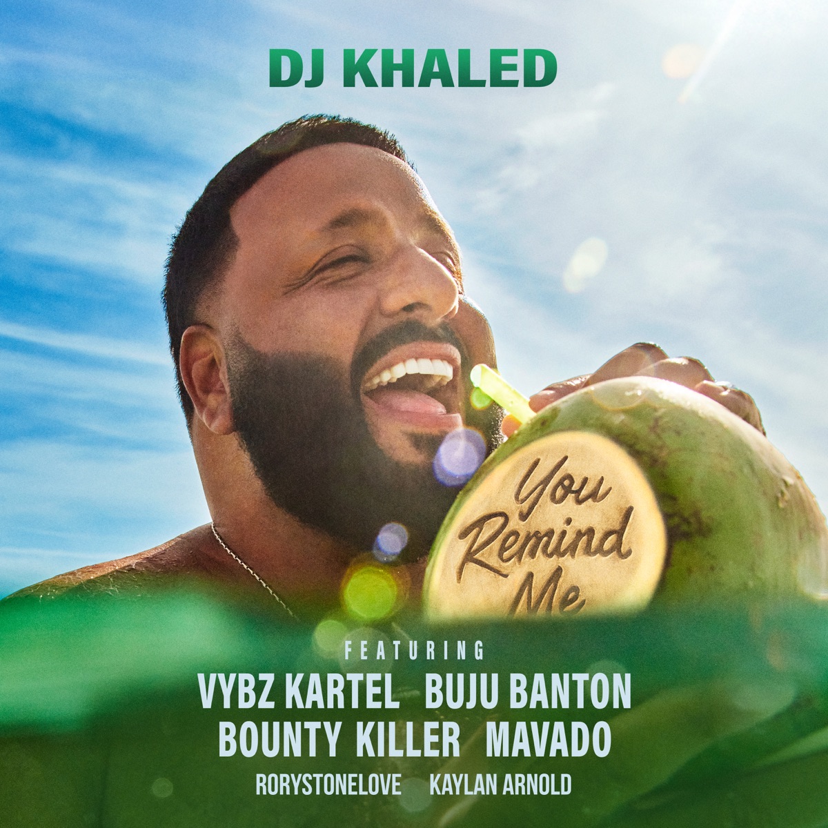 You Remind Me (feat. Vybz Kartel, Buju Banton, Bounty Killer, Mavado, Rorystonelove & Kaylan Arnold) - Single by DJ Khaled album cover
