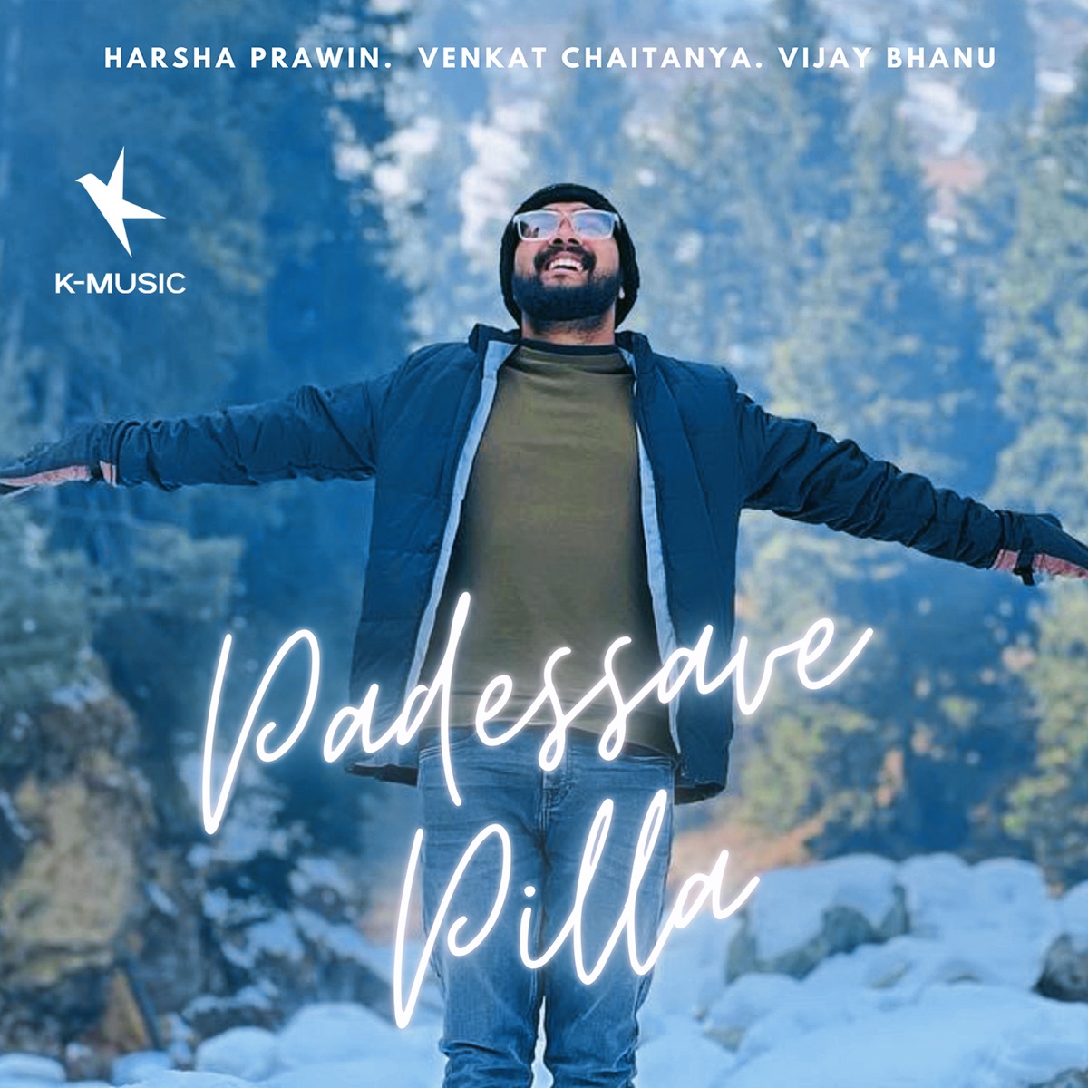 Padessave Pilla - Single by Venkata Chaitanya album cover