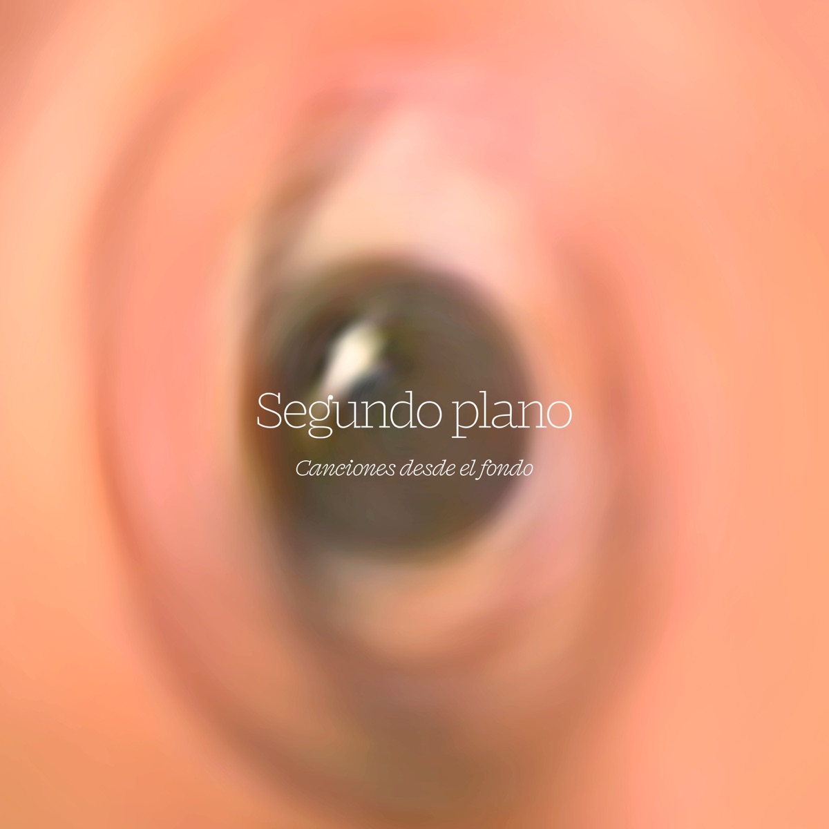 Canciones desde el fondo by Segundo Plano album cover