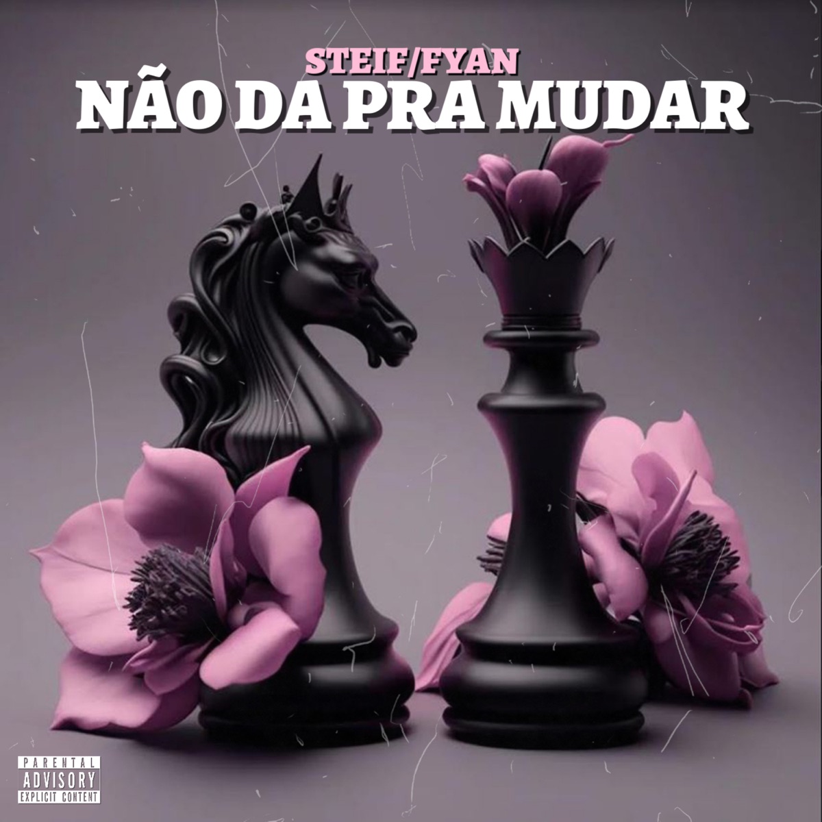Não da pra Mudar - Single by Steif & Fyan album cover