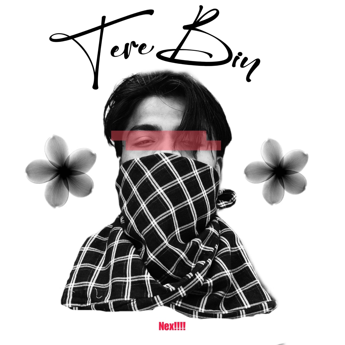 Tere Bin - Single by Nex album cover