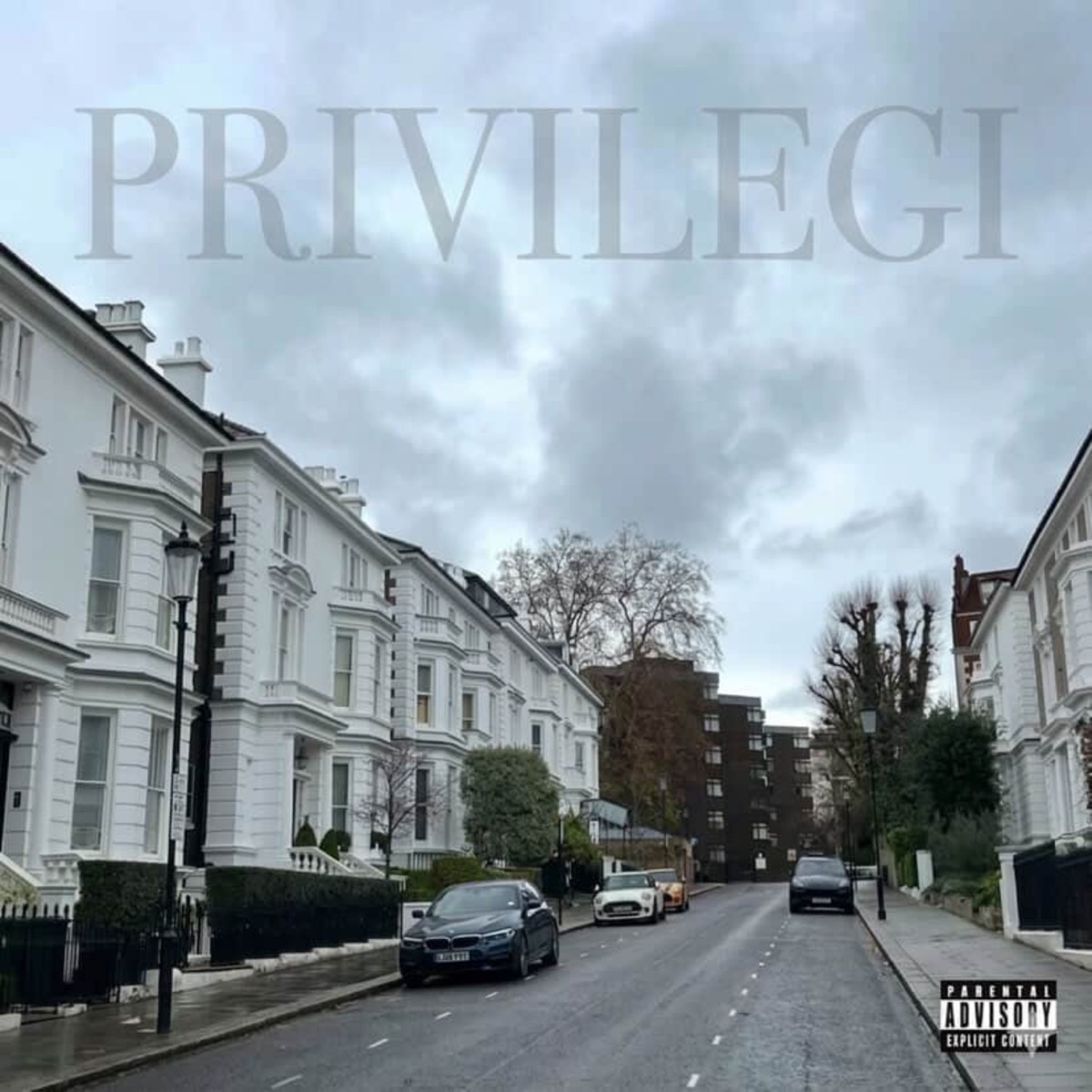 PRIVILEGI - Single by Side Vik, Twin & Havoc-Real album cover